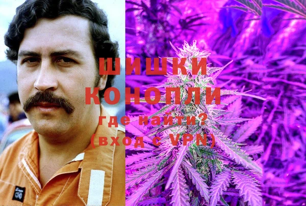 дживик Арсеньев