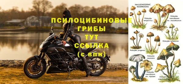 дживик Арсеньев