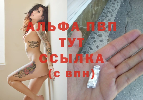 дживик Арсеньев