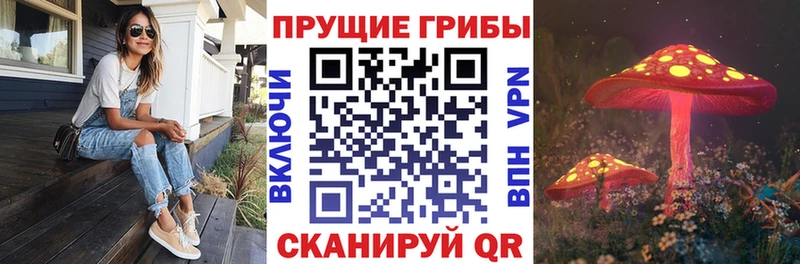 Псилоцибиновые грибы Cubensis блэк спрут онион Татарск